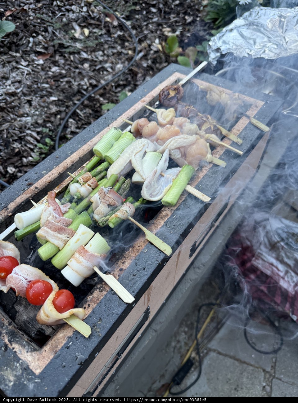 Sizzling Summer Skewers