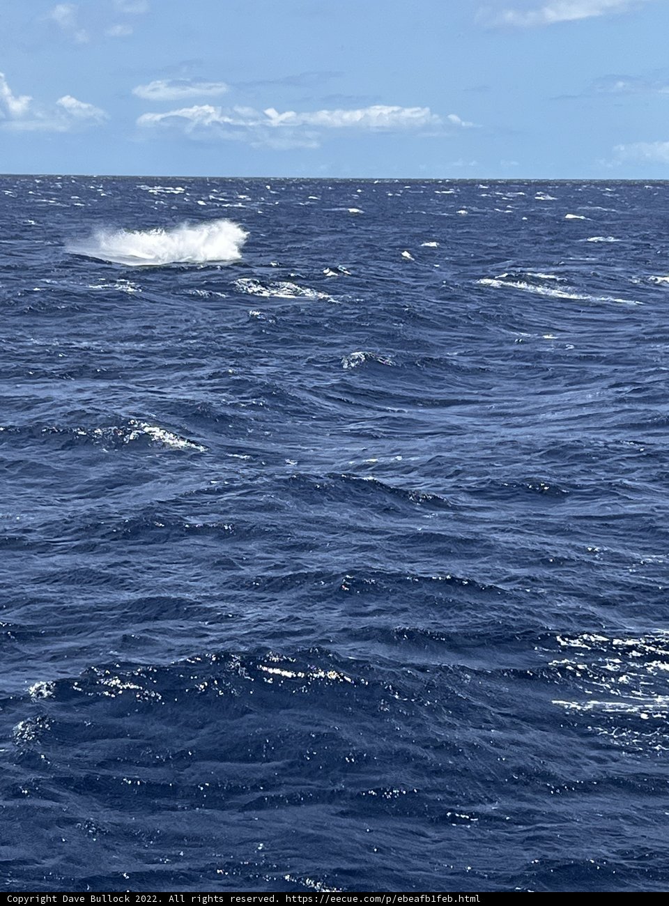 Blue Horizon