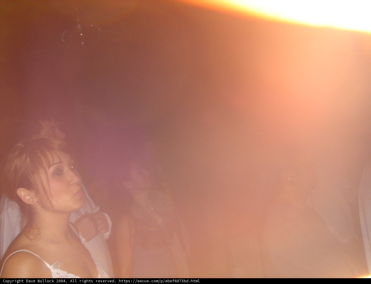 Blurred Beauty in White