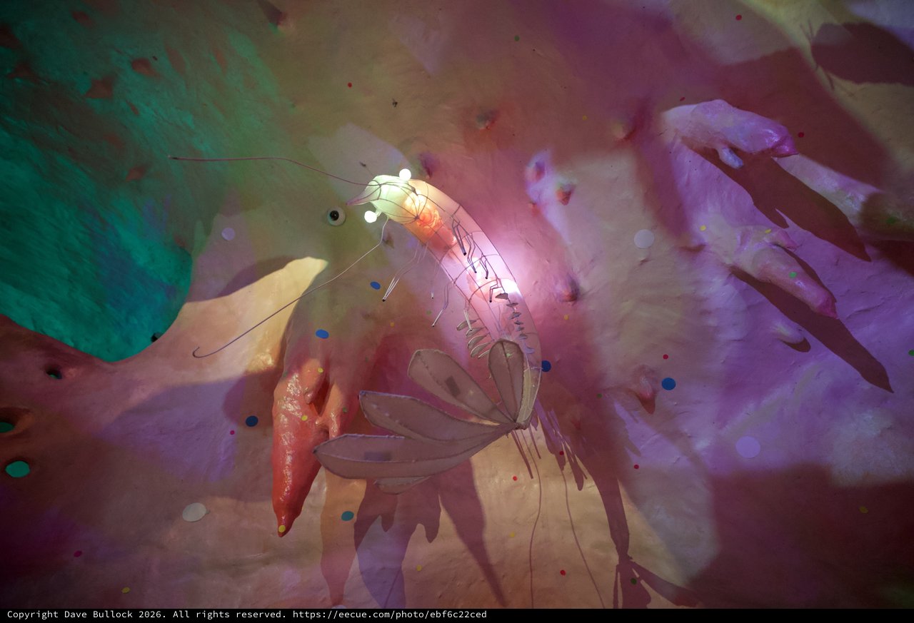 Ethereal Double Exposure with Glowing Insect and Hands