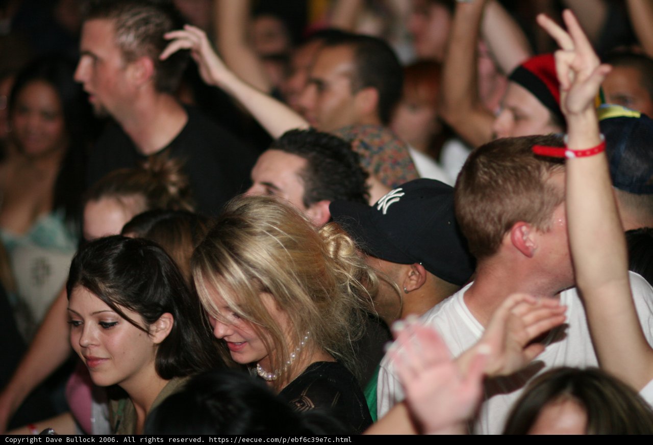 Urban Concert Crowd