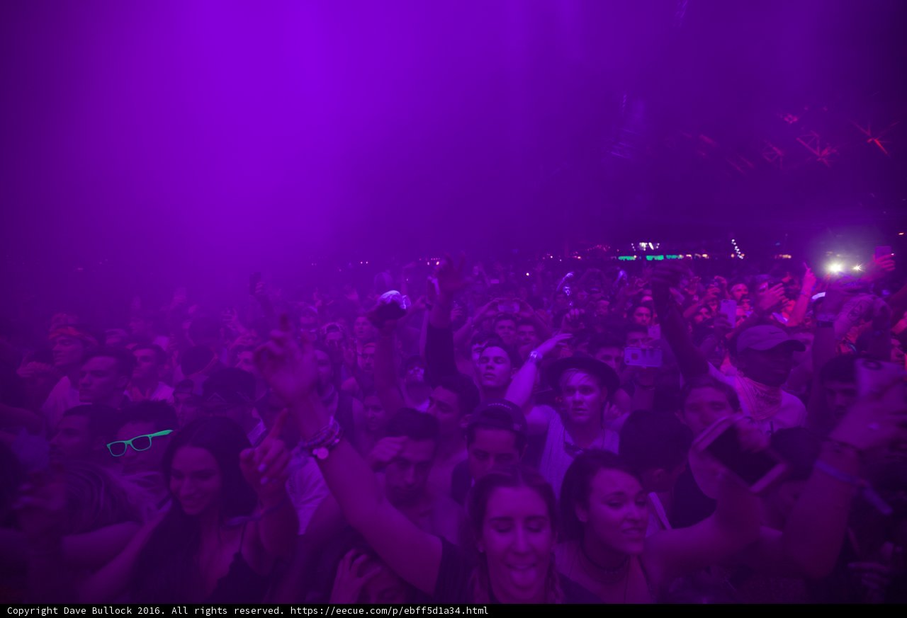 Purple Haze Concert