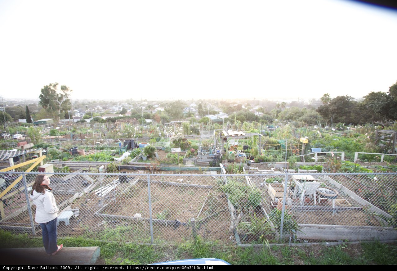 City View from Community Garden