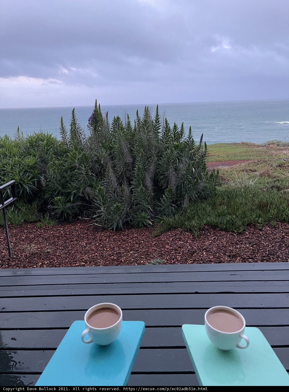 Coastal Coffee Retreat