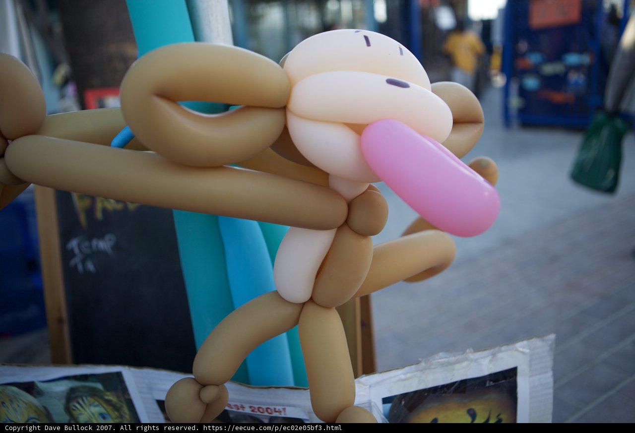 Monkeying Around at the Lobster Festival