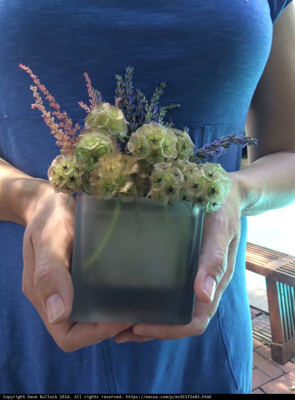 Floral Delight