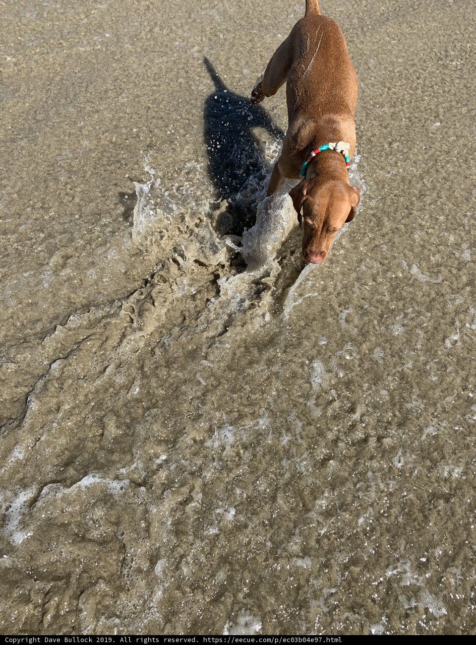 Splish Splash!