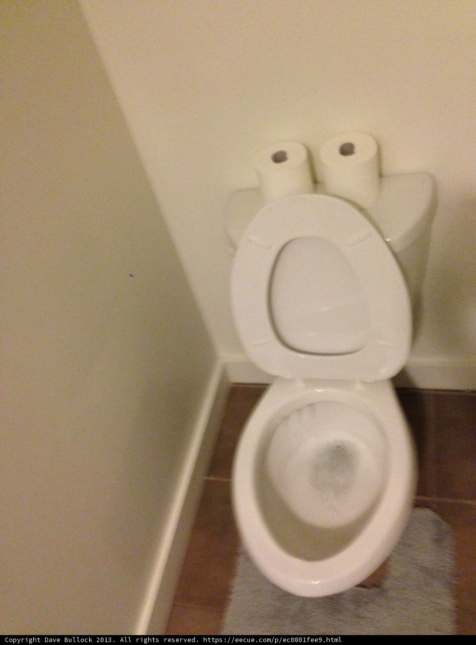 Double the Roll, Double the Fun