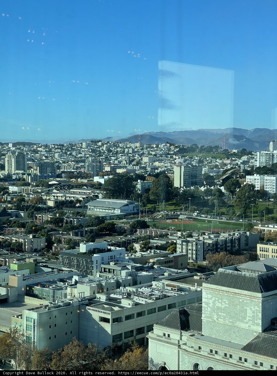 Urban Jungle View