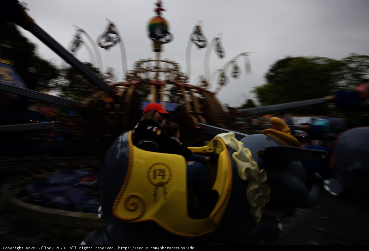 Magical Moments at Disneyland