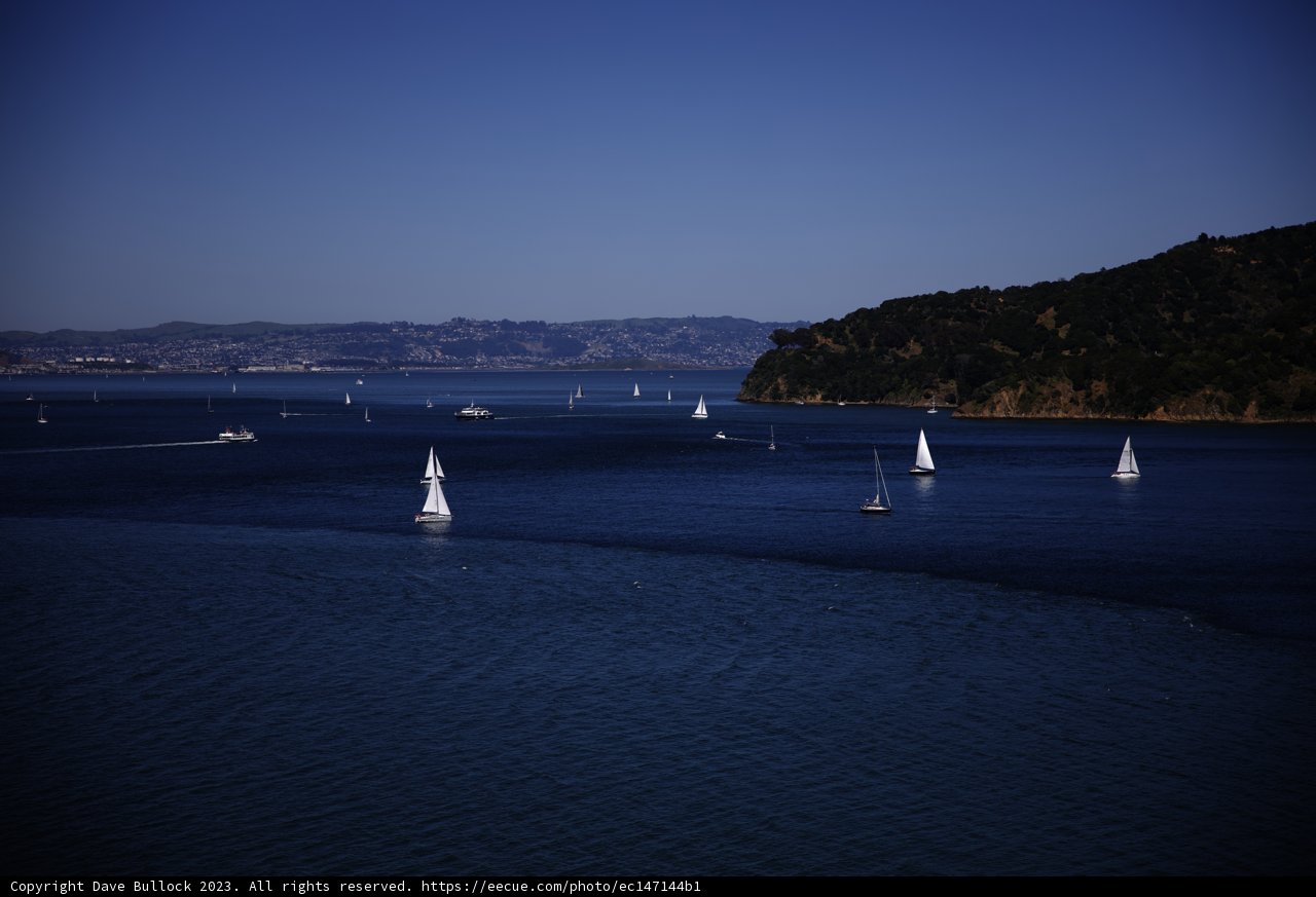 Sailing Bliss in the Bay of San Francisco