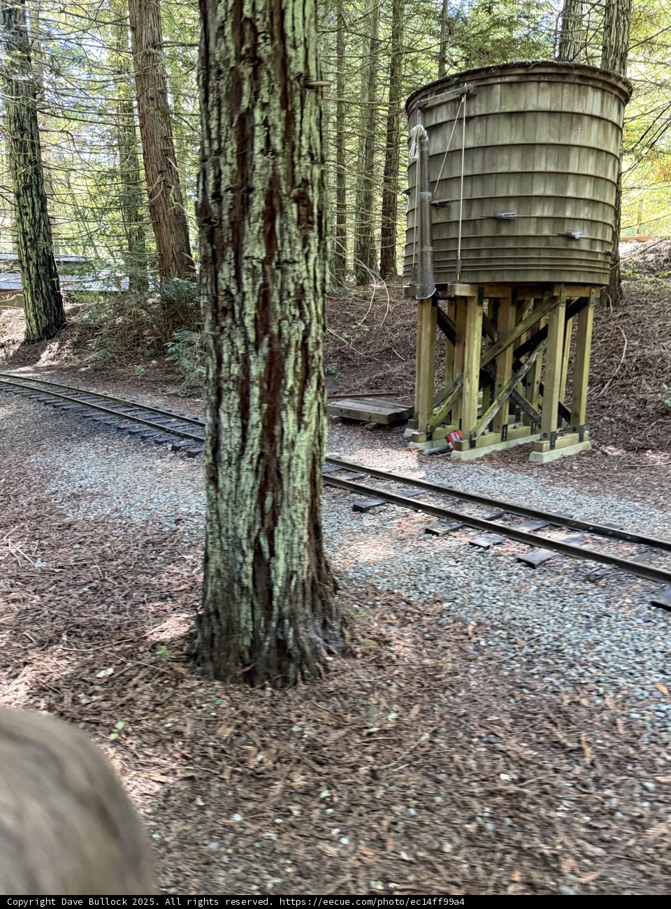Tranquil Tracks Through Tilden
