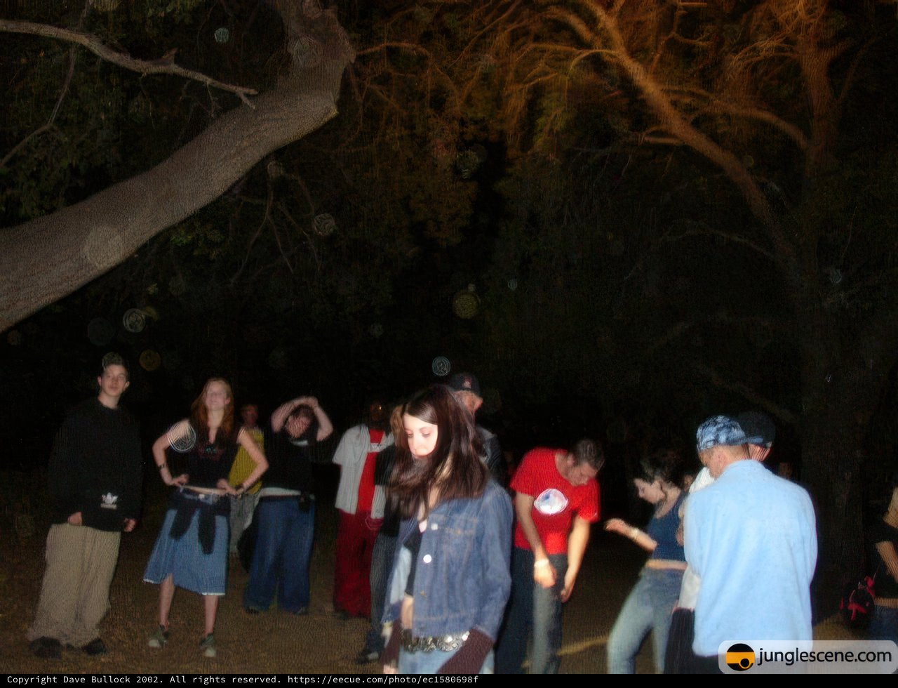 Nighttime Tree Gathering