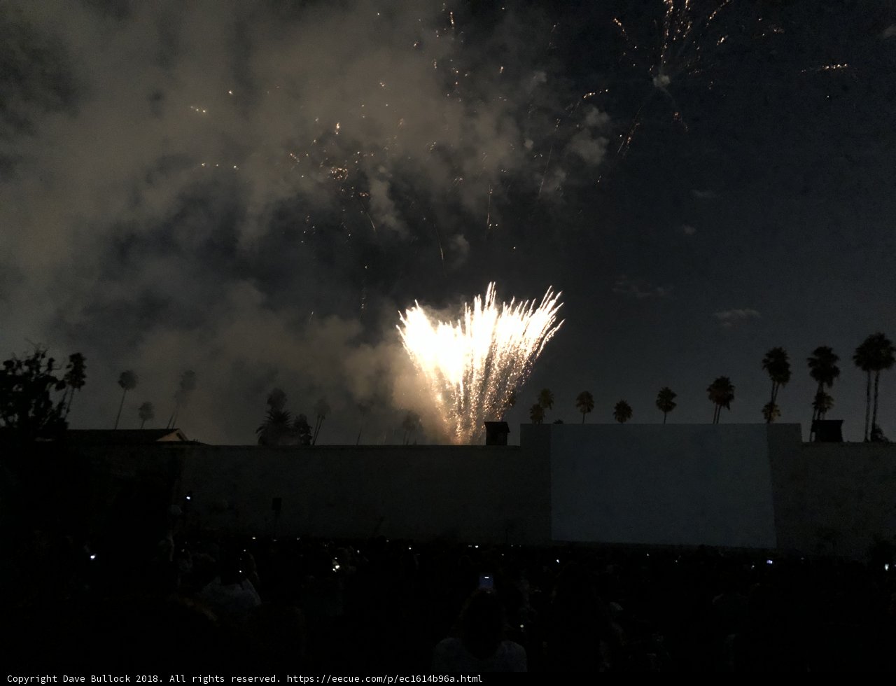 Fireworks Light Up the Night Sky Above the Crowd