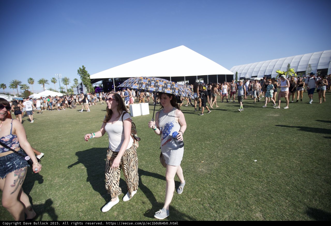 Umbrella Shade