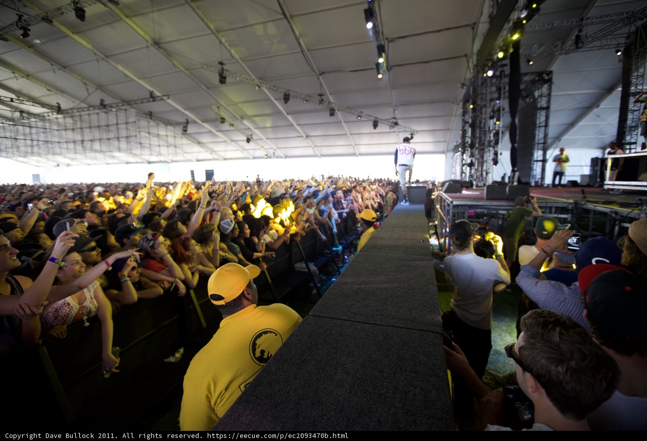 Yellow Sea of Fans