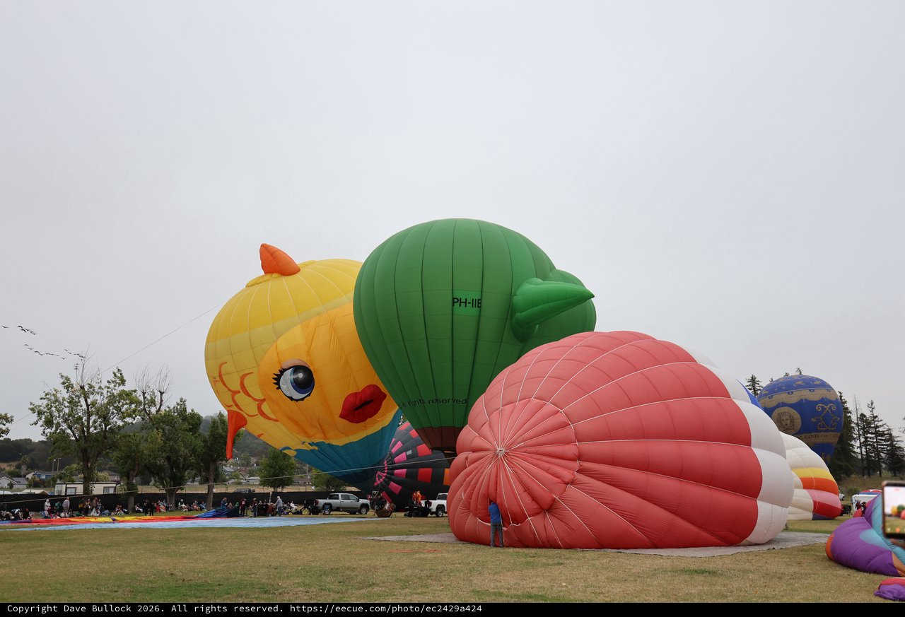 Giant Character Balloons Inflate at Sonoma County Festival
