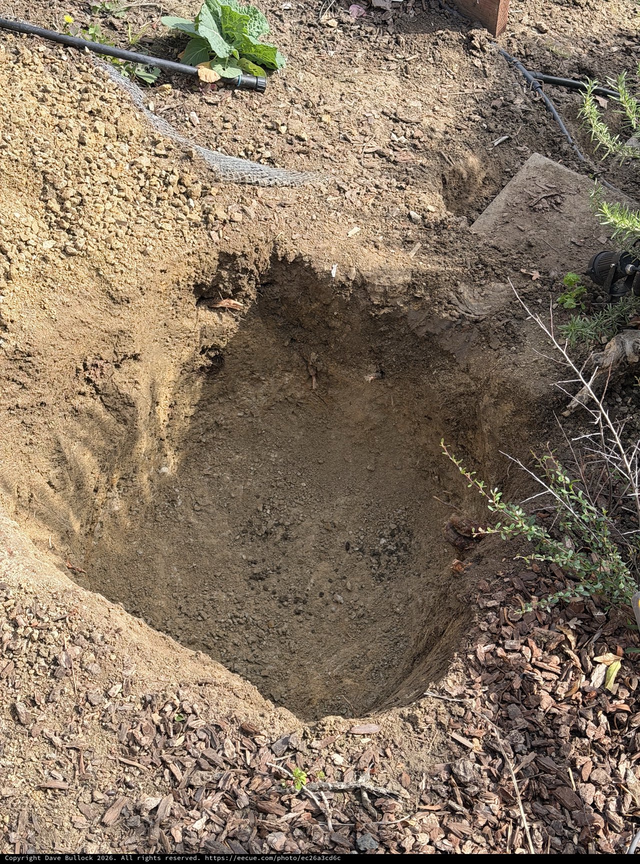 Freshly Dug Garden Hole Ready for Planting