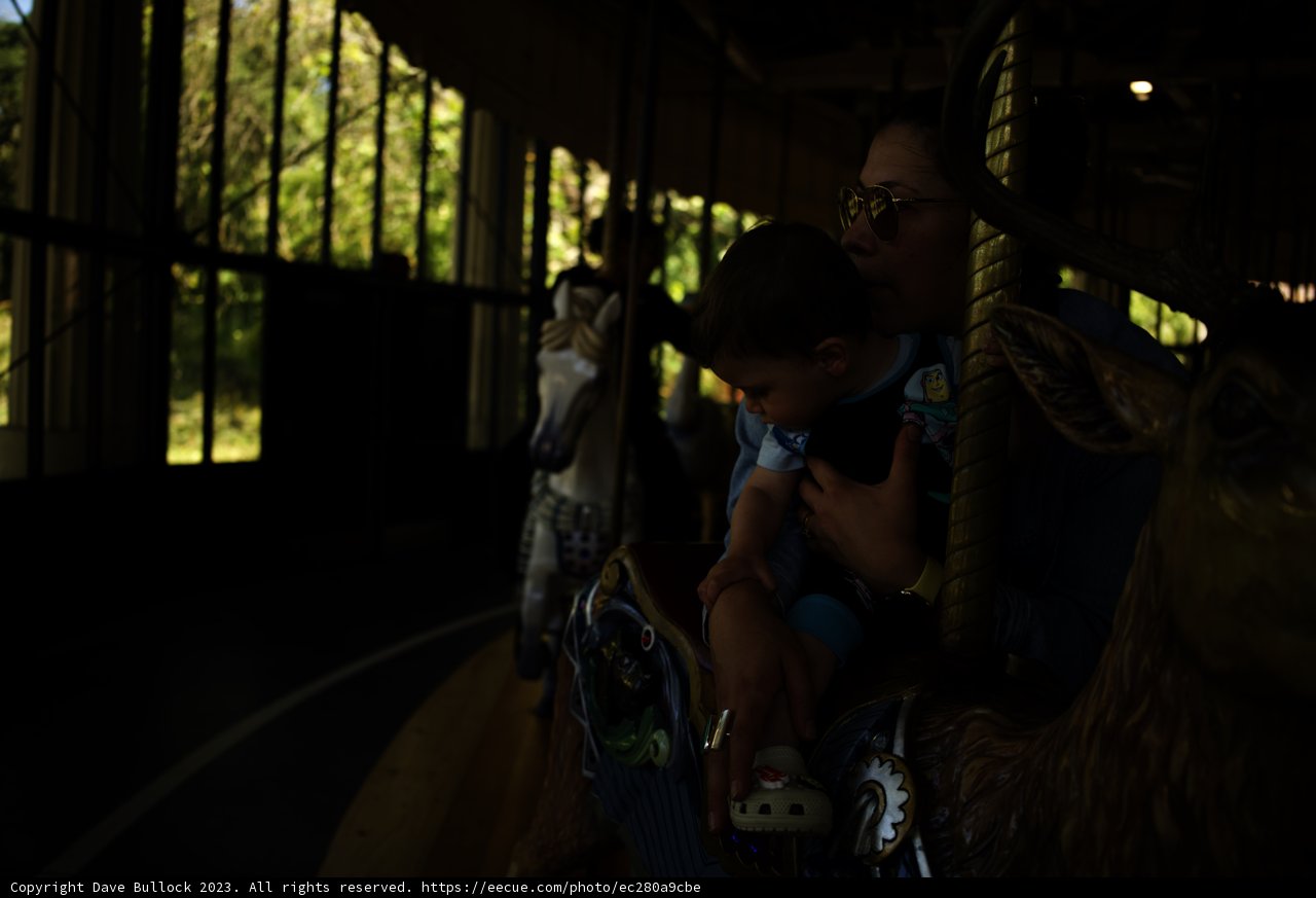 Enchanting Carousel Adventure