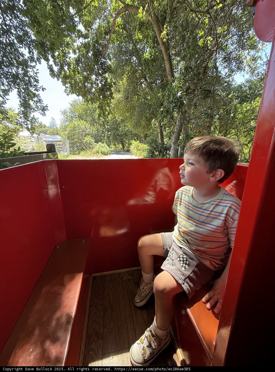 Summer Adventures in the Park