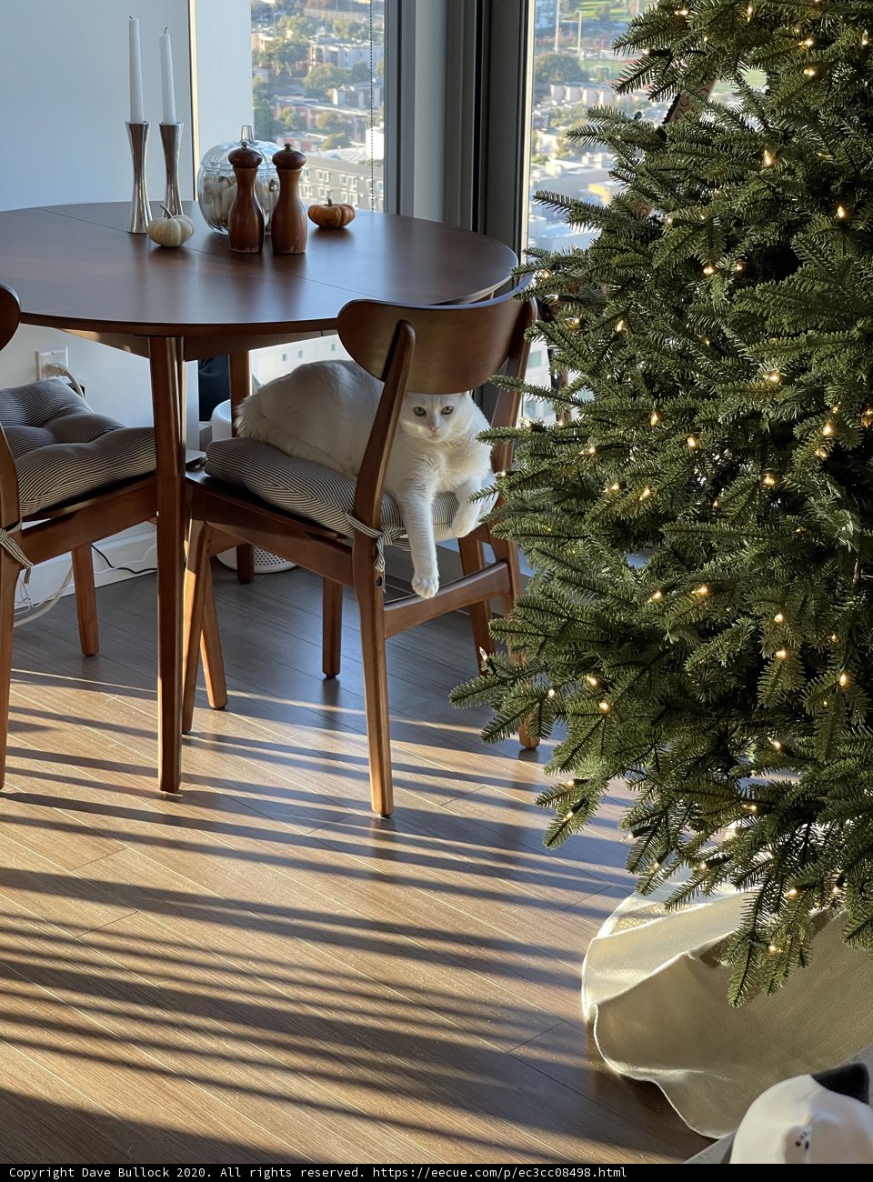Festive Dining Table with Wooden Chairs
