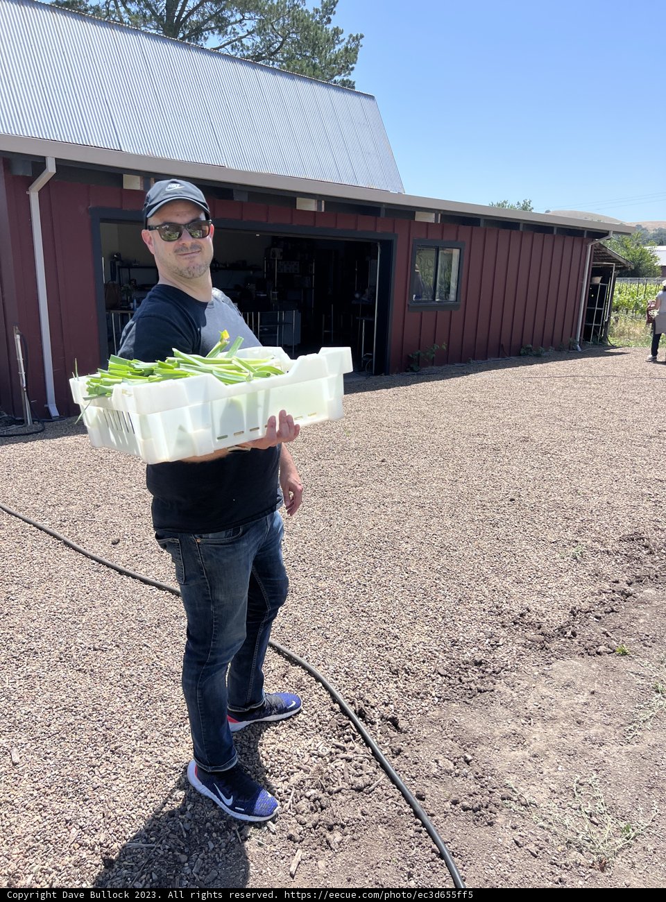 A Flourishing Harvest: Gardening Workshop in Sonoma