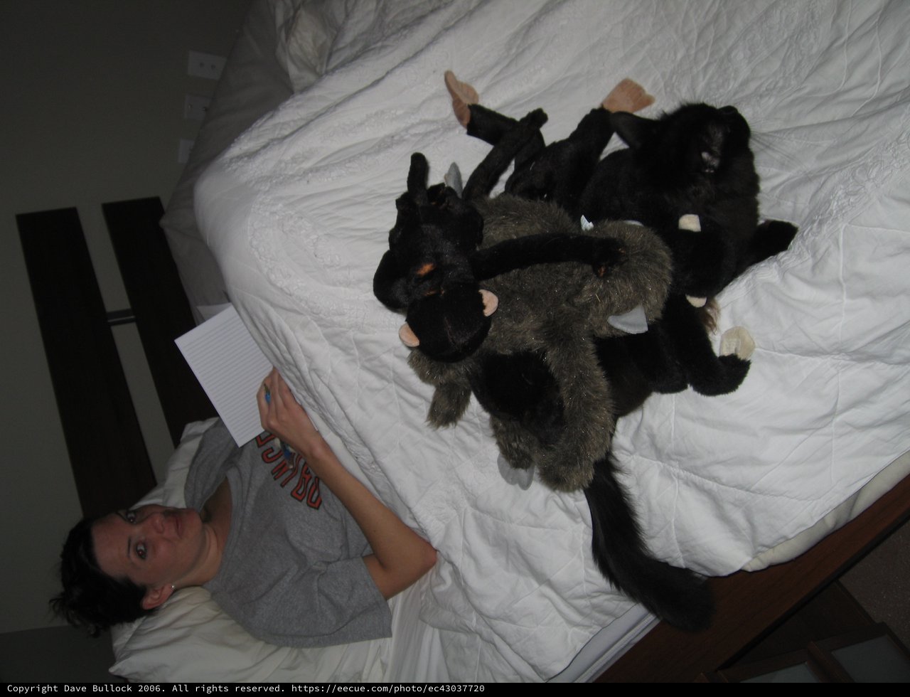 Woman Writing in Bed Surrounded by Stuffed Animals