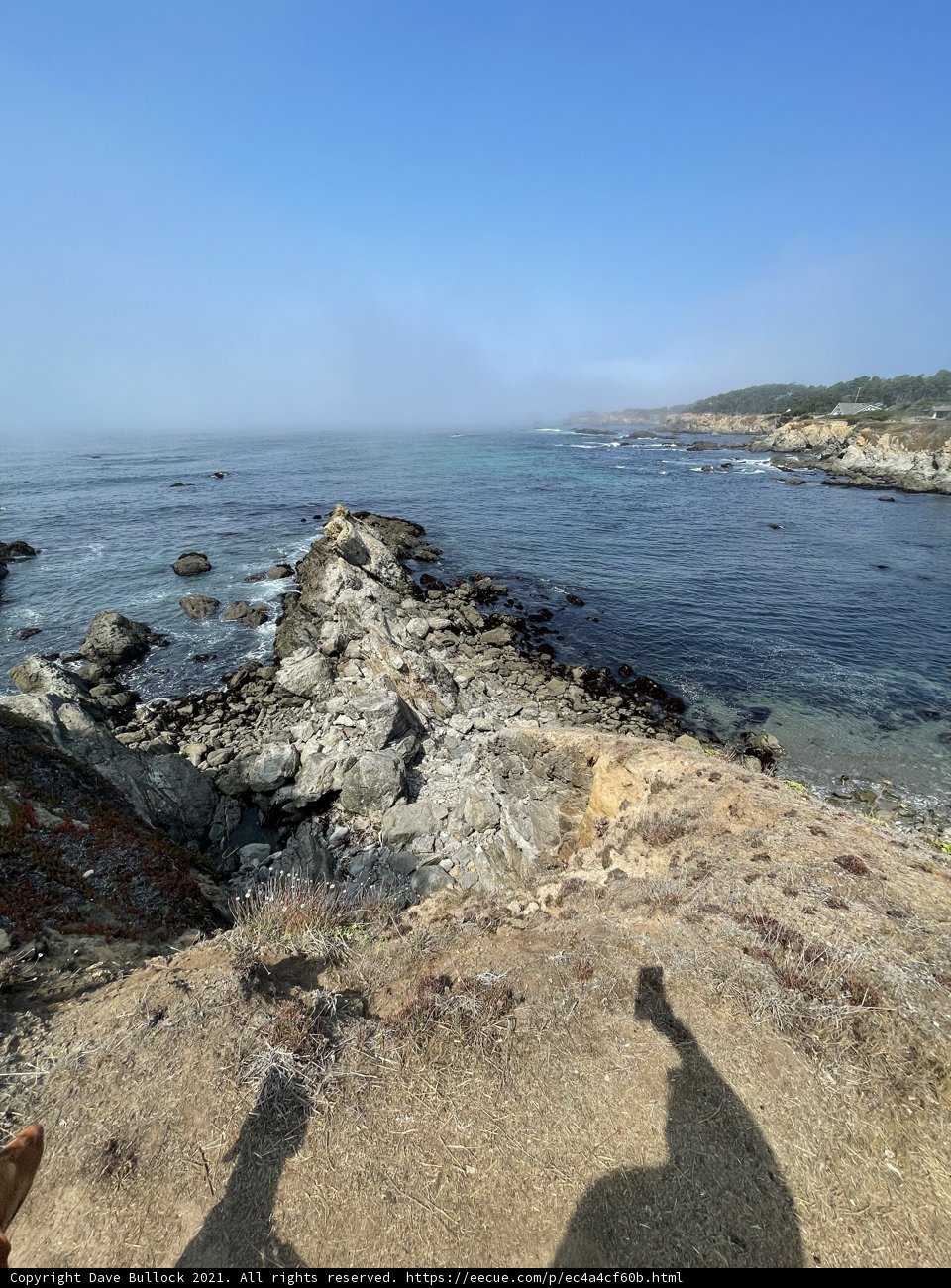 Capturing the Majesty of the Coast