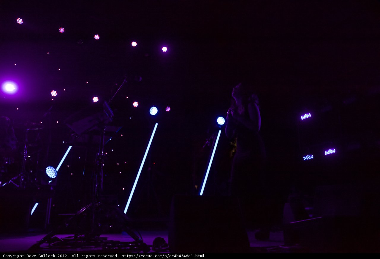 Spotlight on a Rocking Crowd