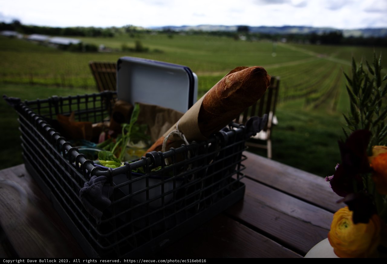 Napa Valley Picnic Delights