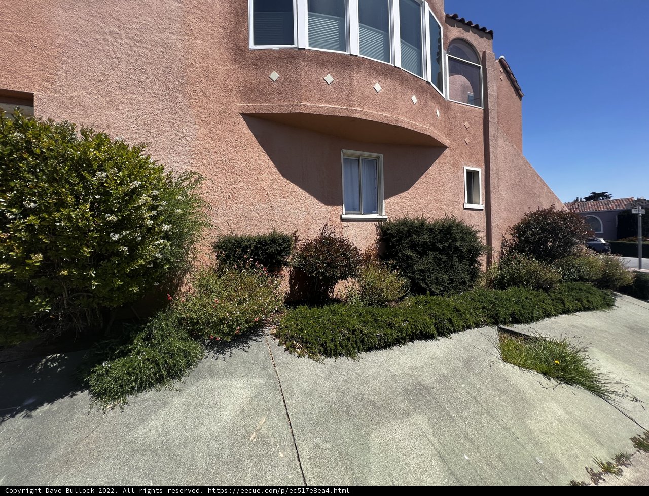 Pink House in the City