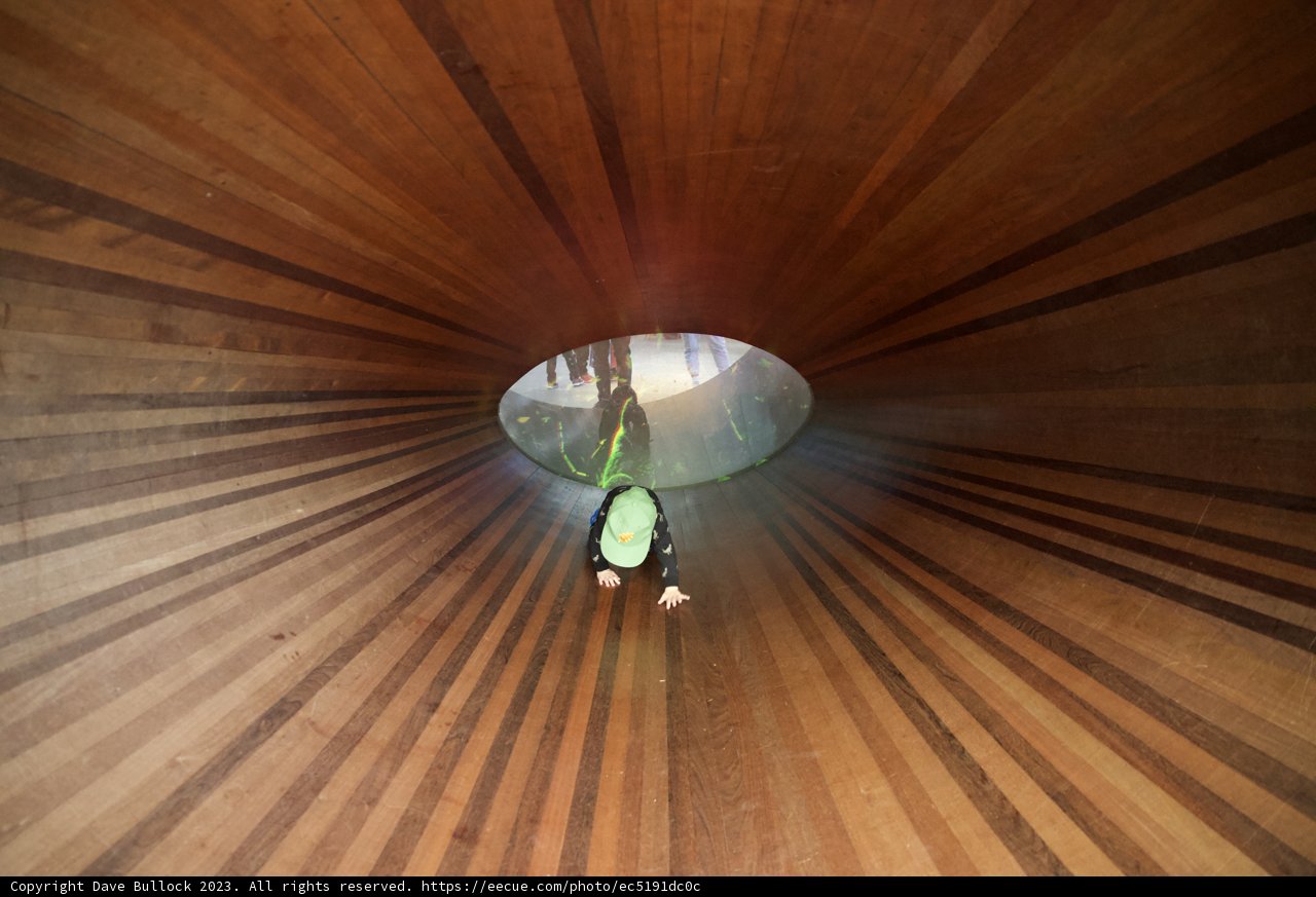 The Enchantment of Wooden Architecture