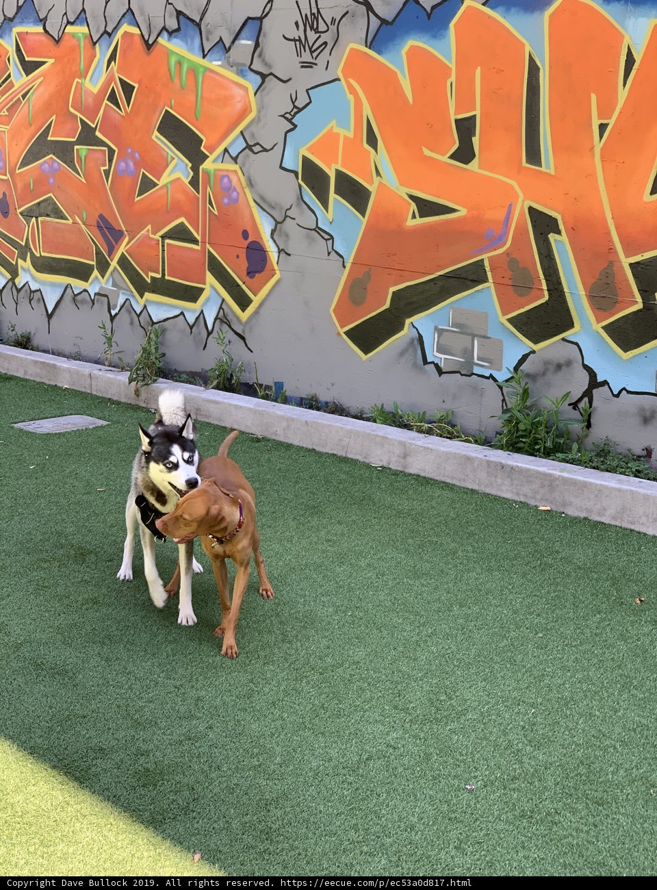 Graffiti Playtime
