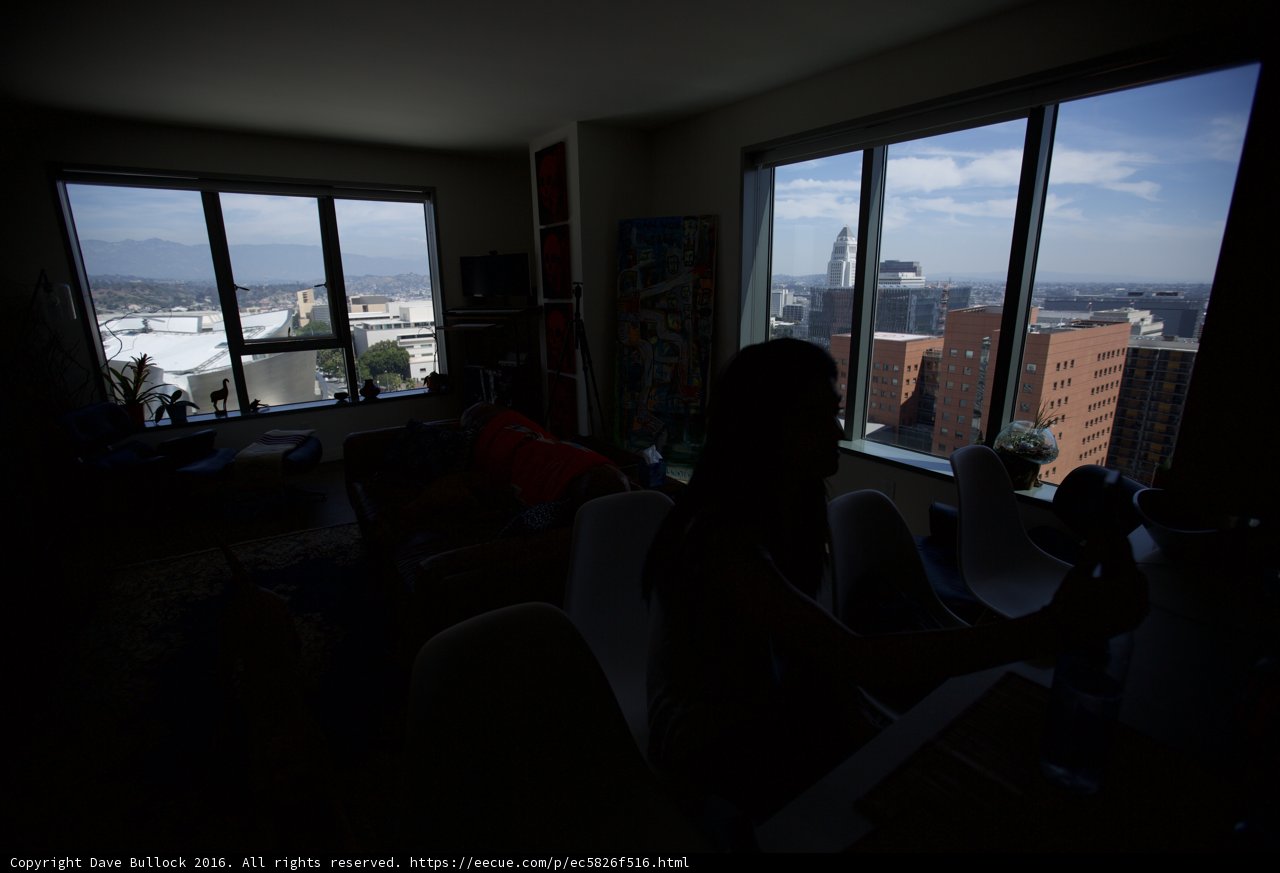 Living Room with a View