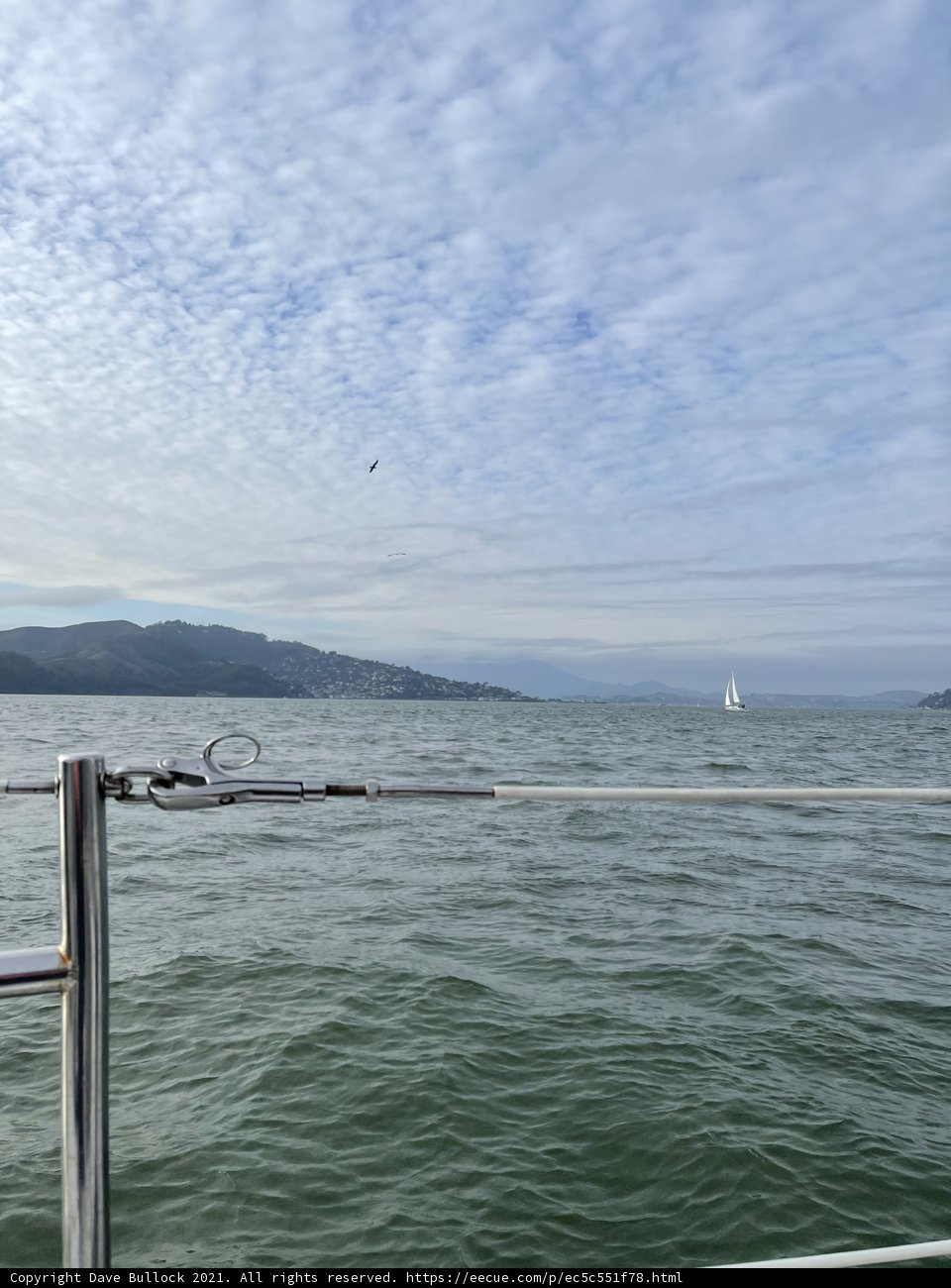 Sailing into the Scenic San Francisco Bay