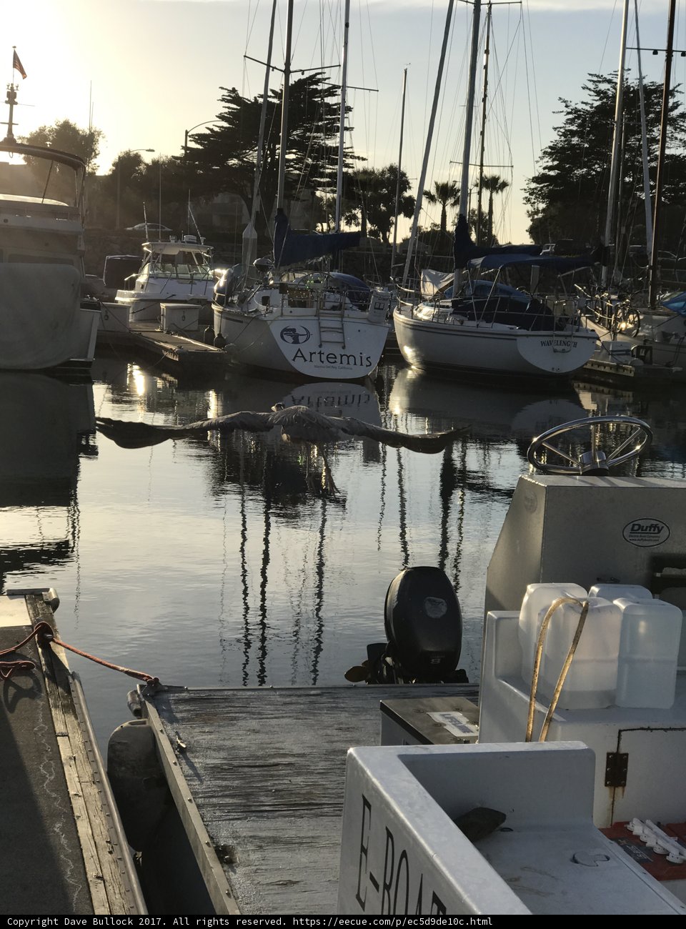A Scenic View at Channel Islands Harbor
