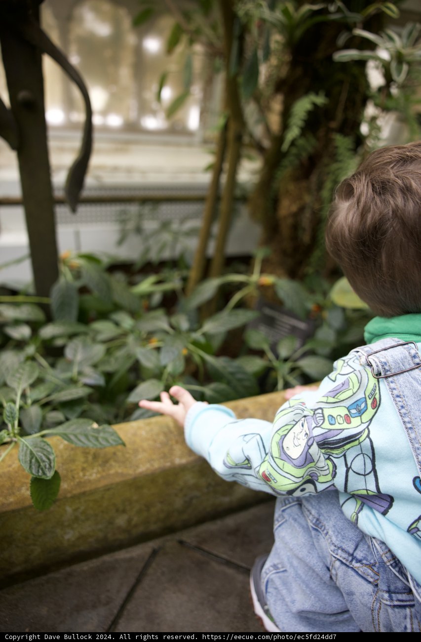 Innocence Amidst Greens: A Child's Day at Golden Gate Park