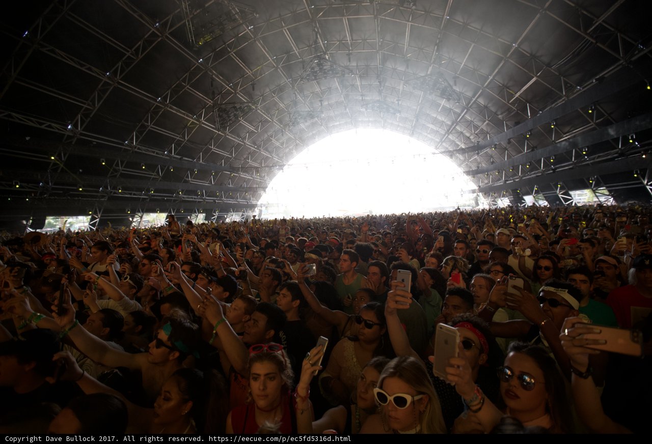 Coachella Crowd Vibes