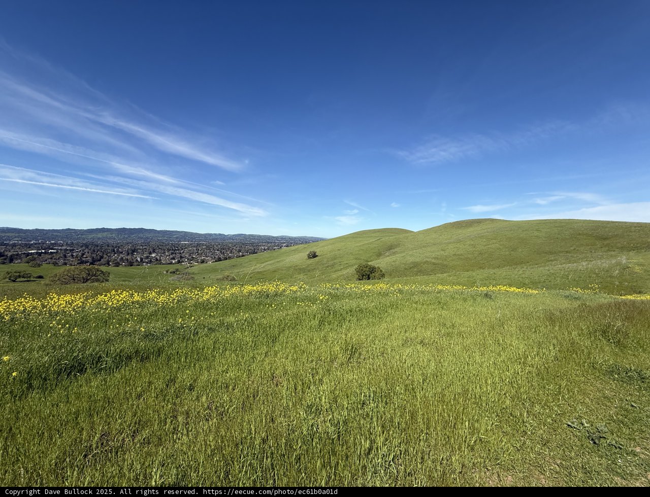 Serene Horizons at Lime Ridge