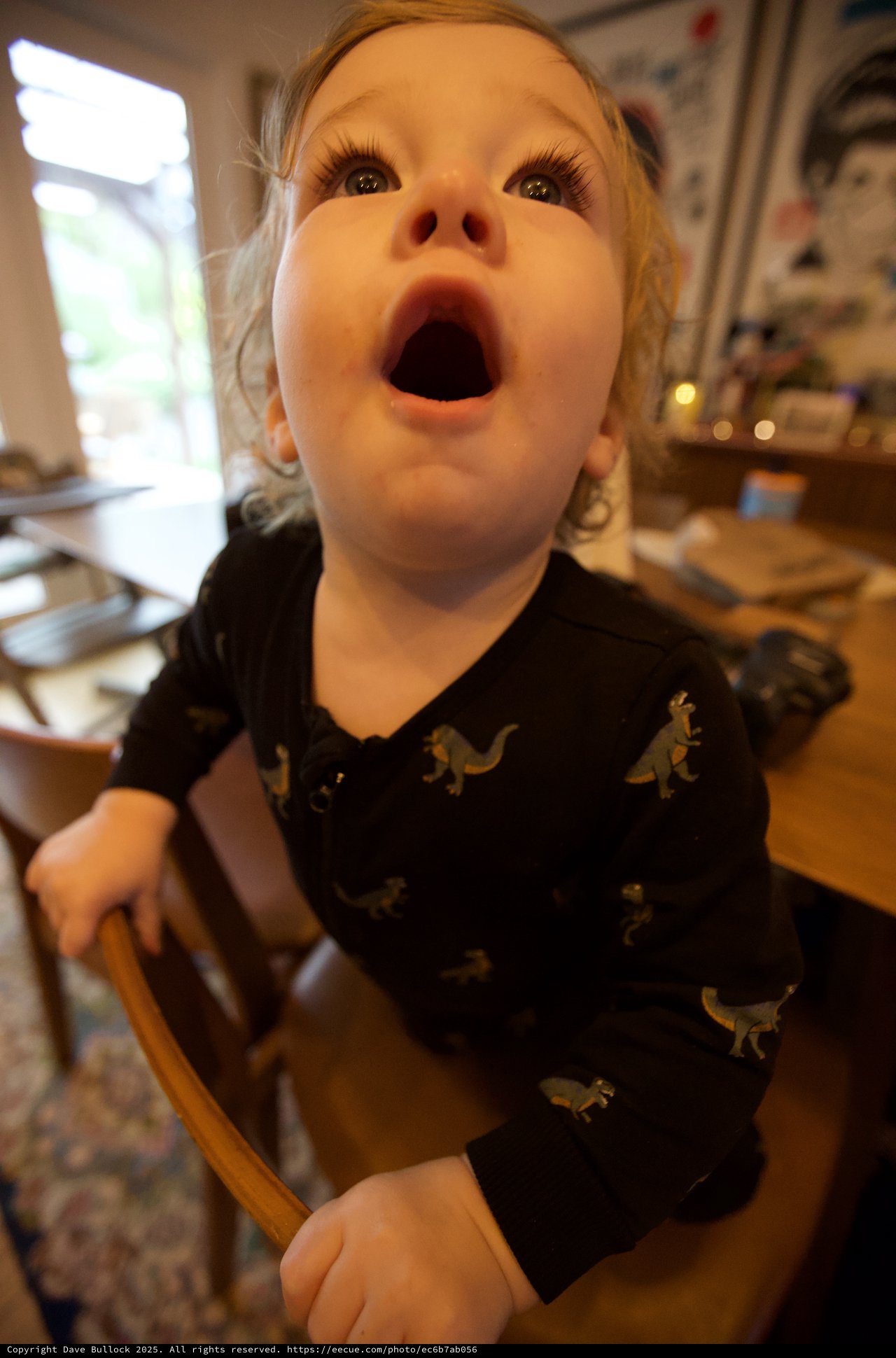 Young Child's Excited Expression on Christmas Day