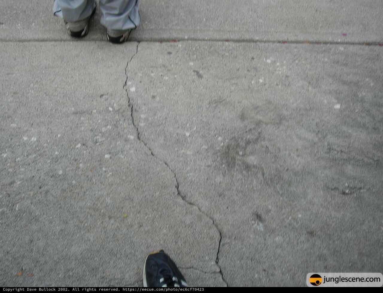 Standing Strong on the Sidewalk