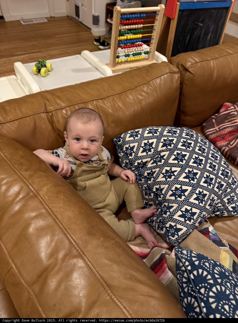 Cozy Moments in the Living Room