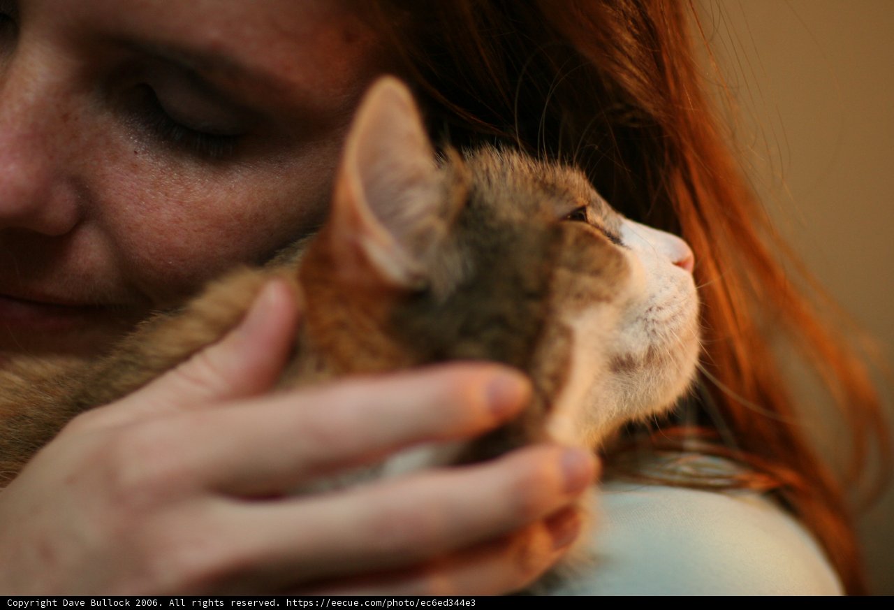 Lovingly Holding our Abyssinian Cat