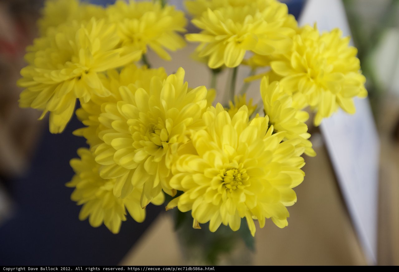 Yellow Flower Arrangement