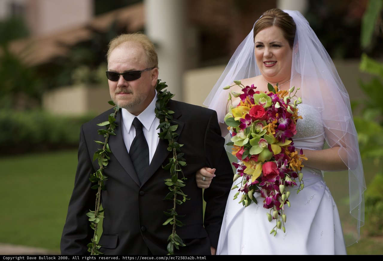 Wedding Bliss in Hawaii