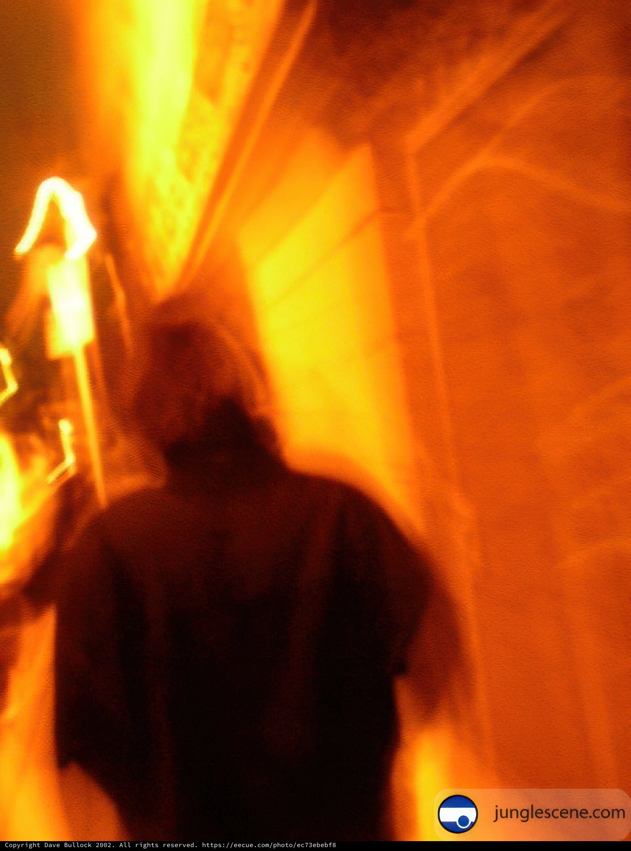 Blurred Street Walker