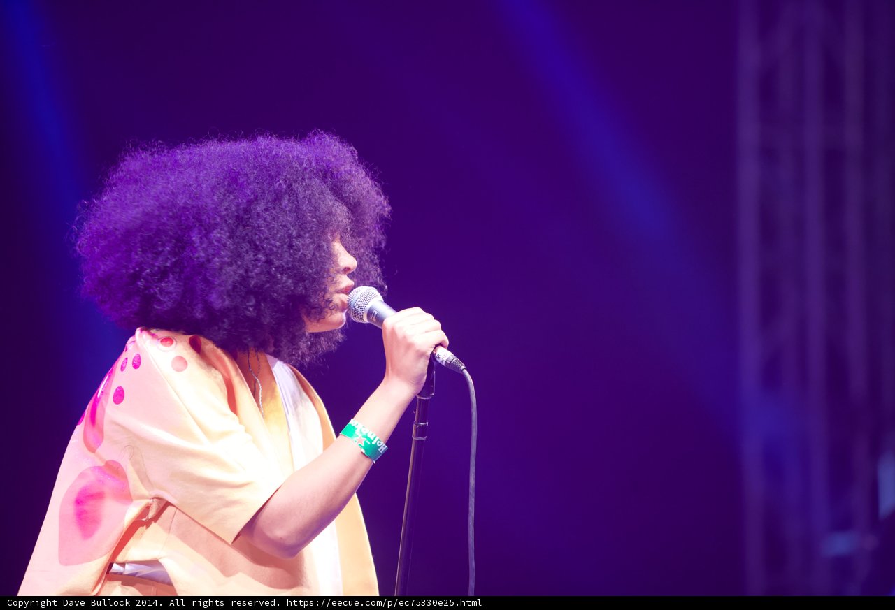 Afro Diva Serenades the Crowd