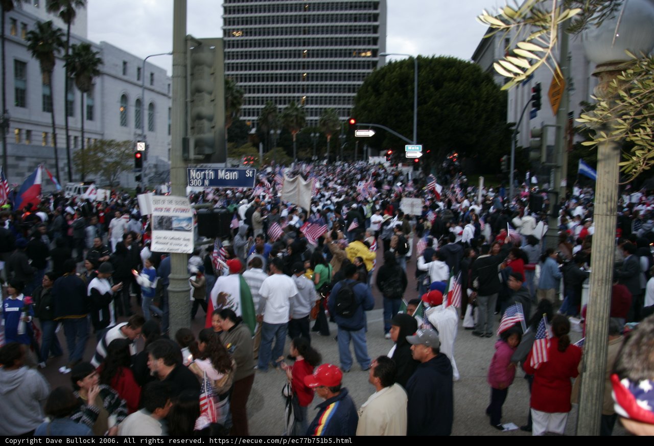 A Sea of Flags: The Urban Parade