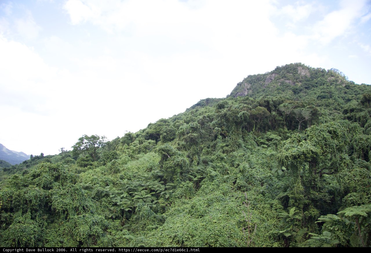 Majestic Mountain Peak