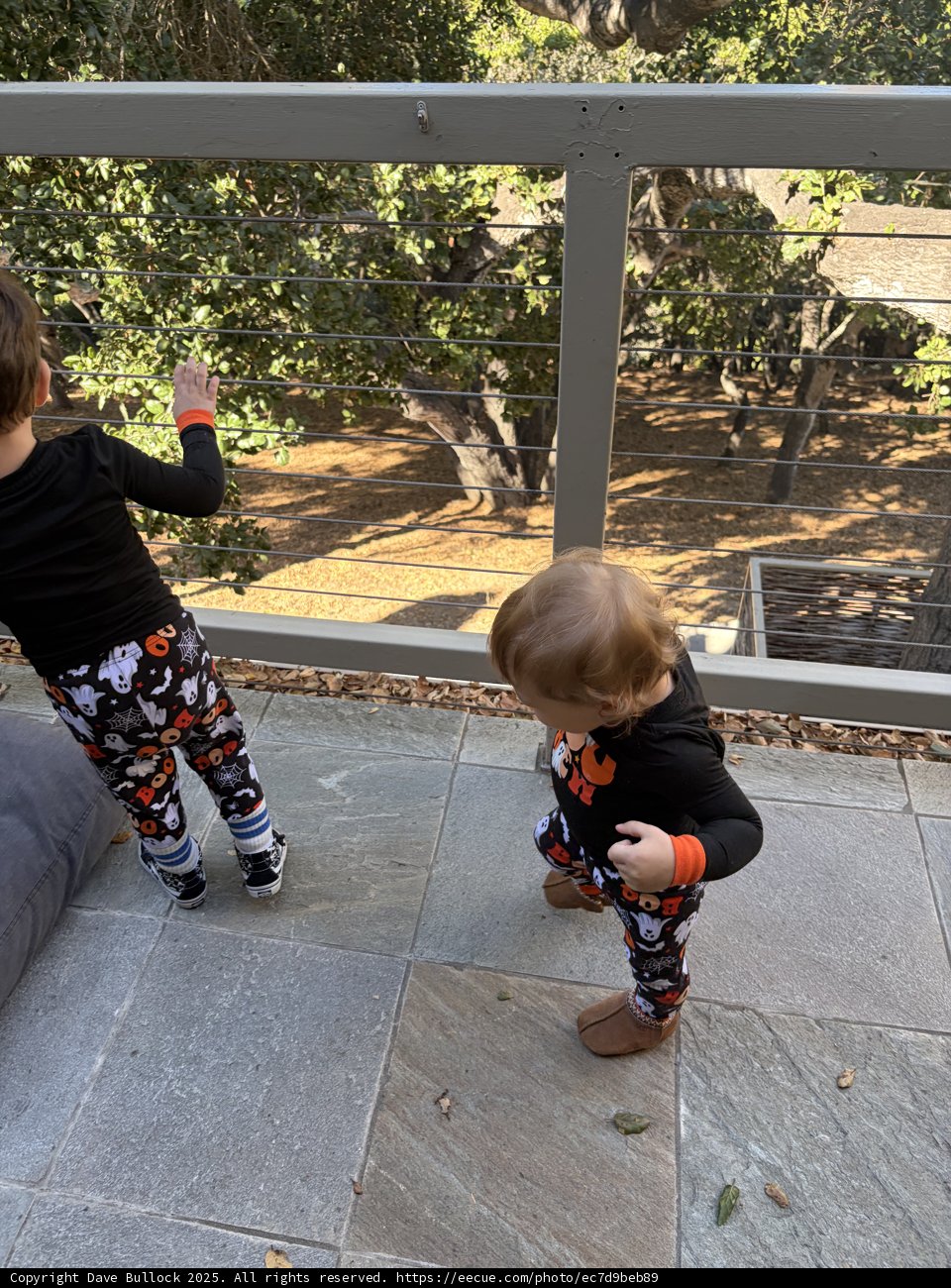 Autumn Adventures on the Patio